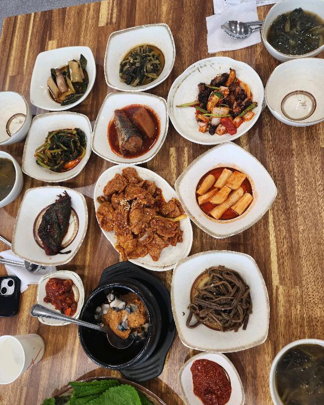 식당 앞에서 만난 고양이