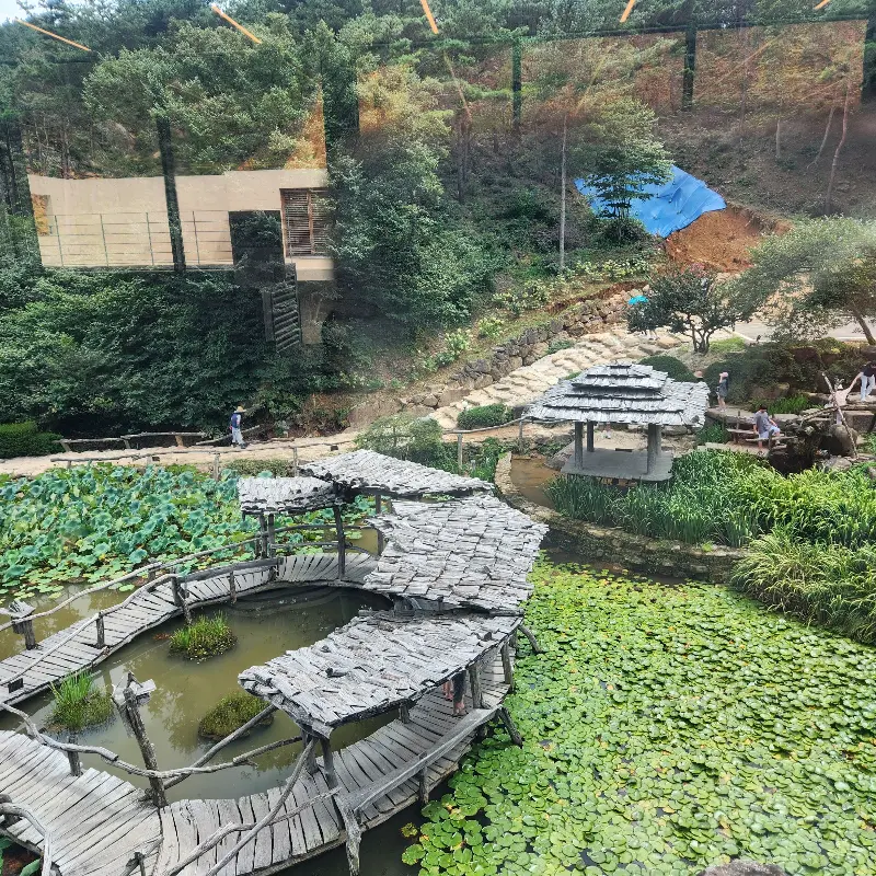 수선사 연못 풍경