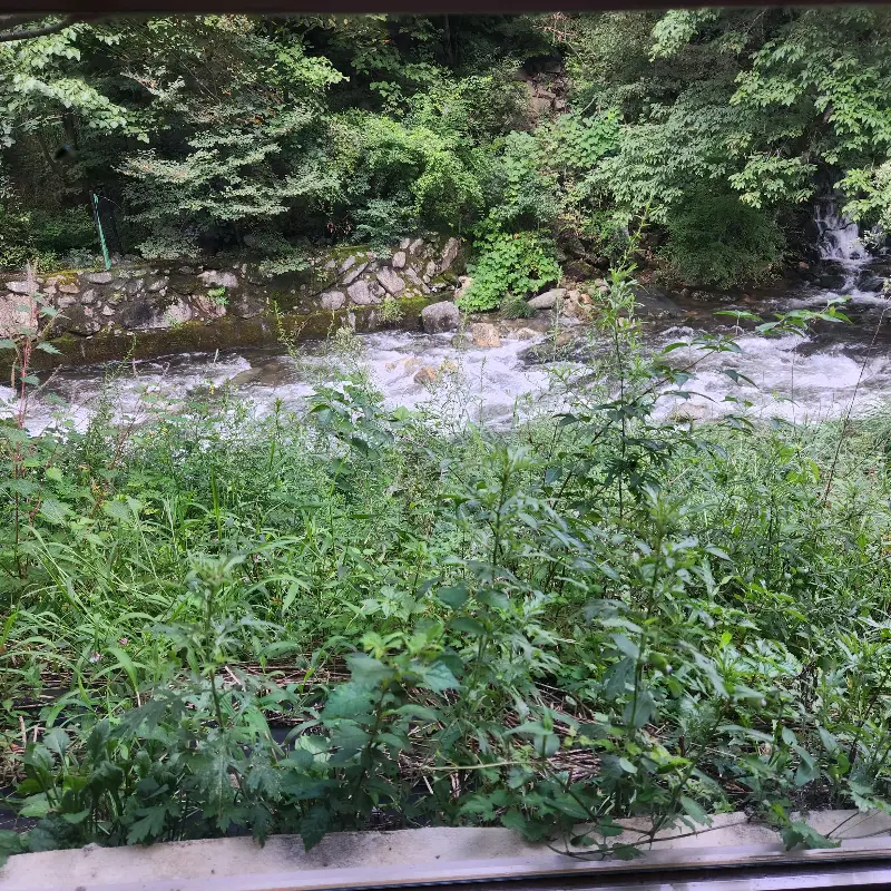 카페에서 바라본 계곡