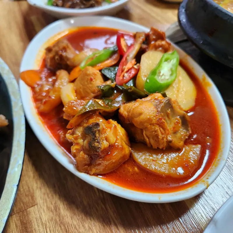 닭볶음탕 근접 촬영