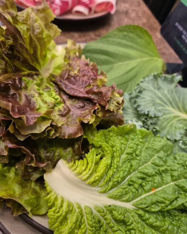 신선한 쌈 채소 근접 샷