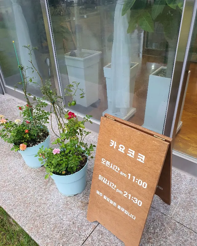 카요코코 영업시간 안내