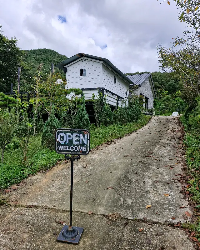 카페 내부에서 창밖을 바라보는 손님들의 모습