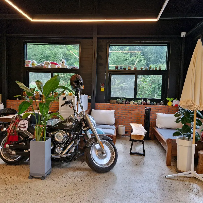 카페 내부에서 바라본 푸르른 정원의 모습