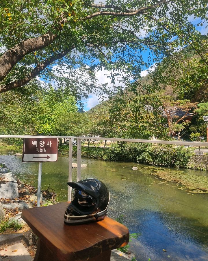 카페에서 보이는 백양사 가는 길