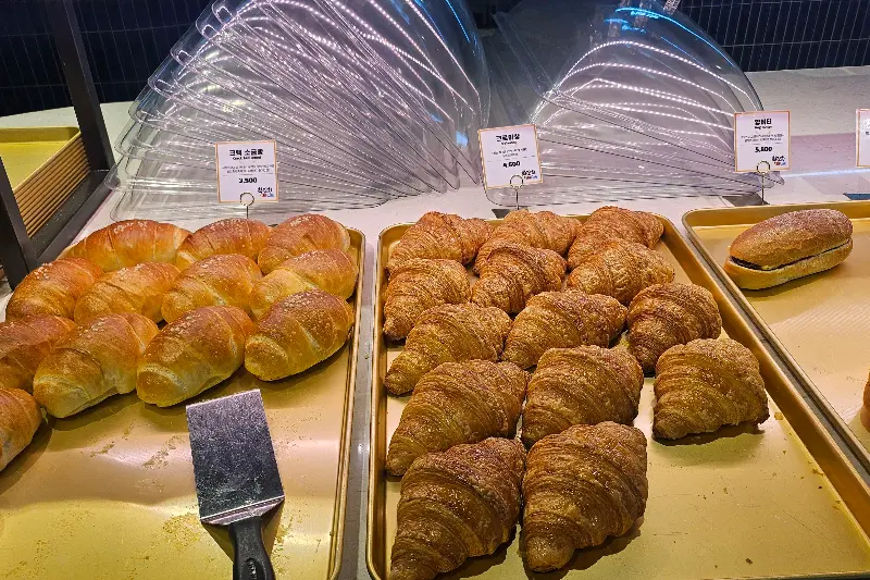 다양한 빵 종류