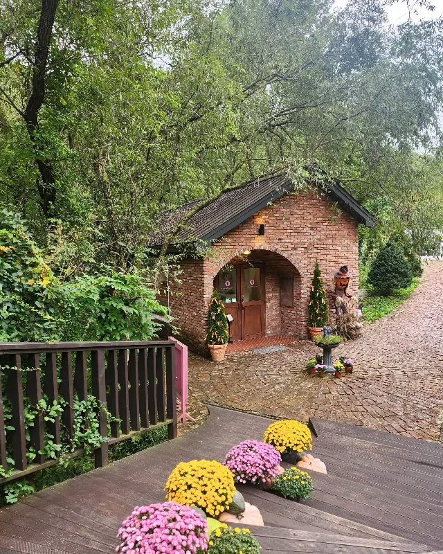 비진숲커피의 외관