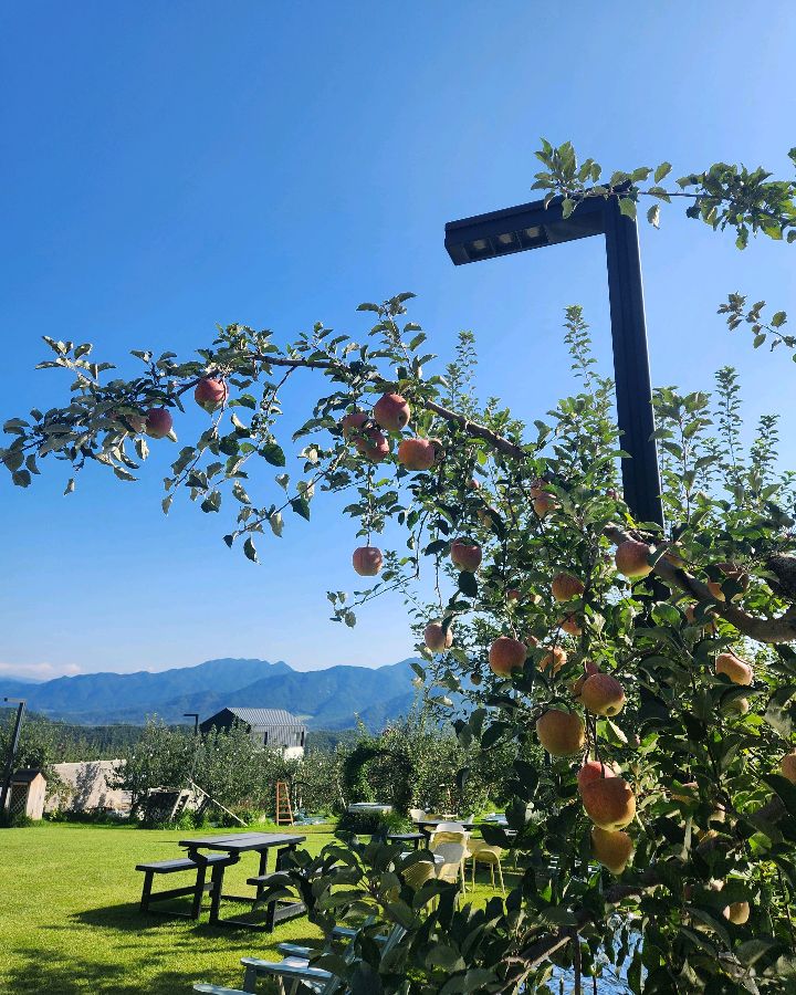 해플스팜사이더리의 가을 풍경