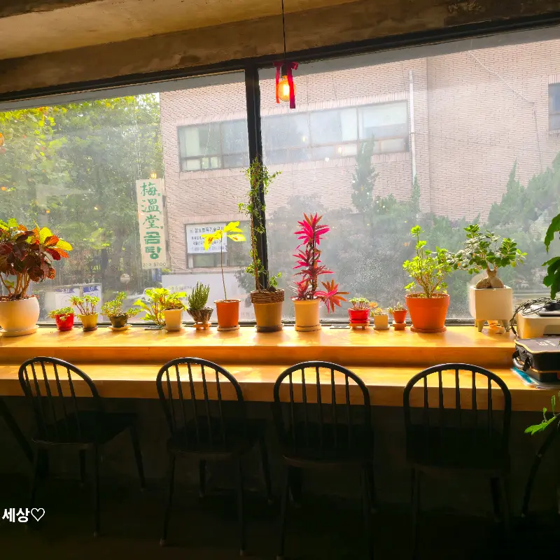 창밖으로 보이는 풍경