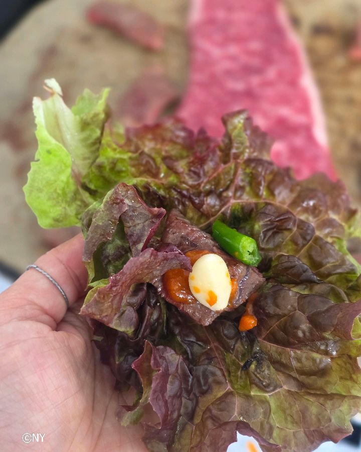 숯불에 구워 먹는 약돌한우