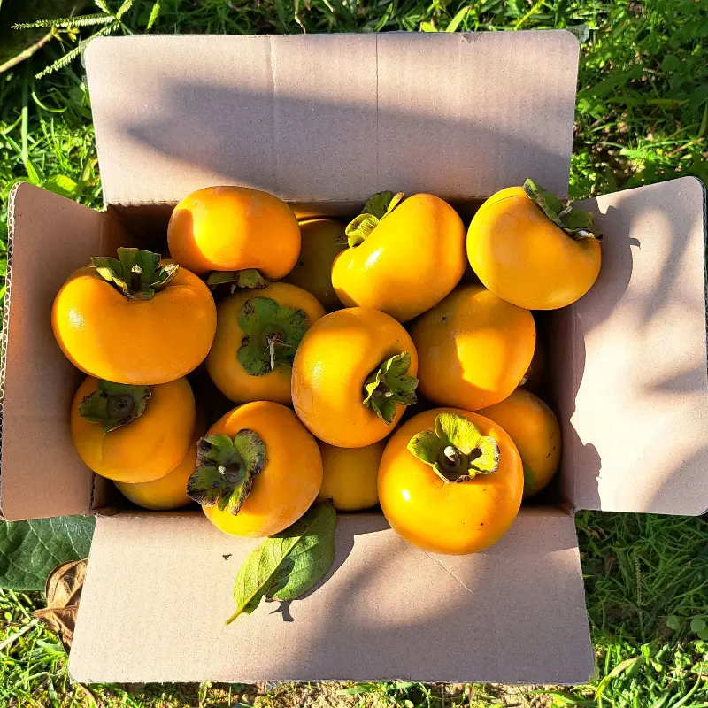 정직한 맛의 유부초밥