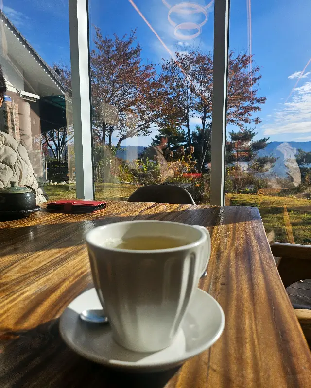 다원의 창밖 풍경