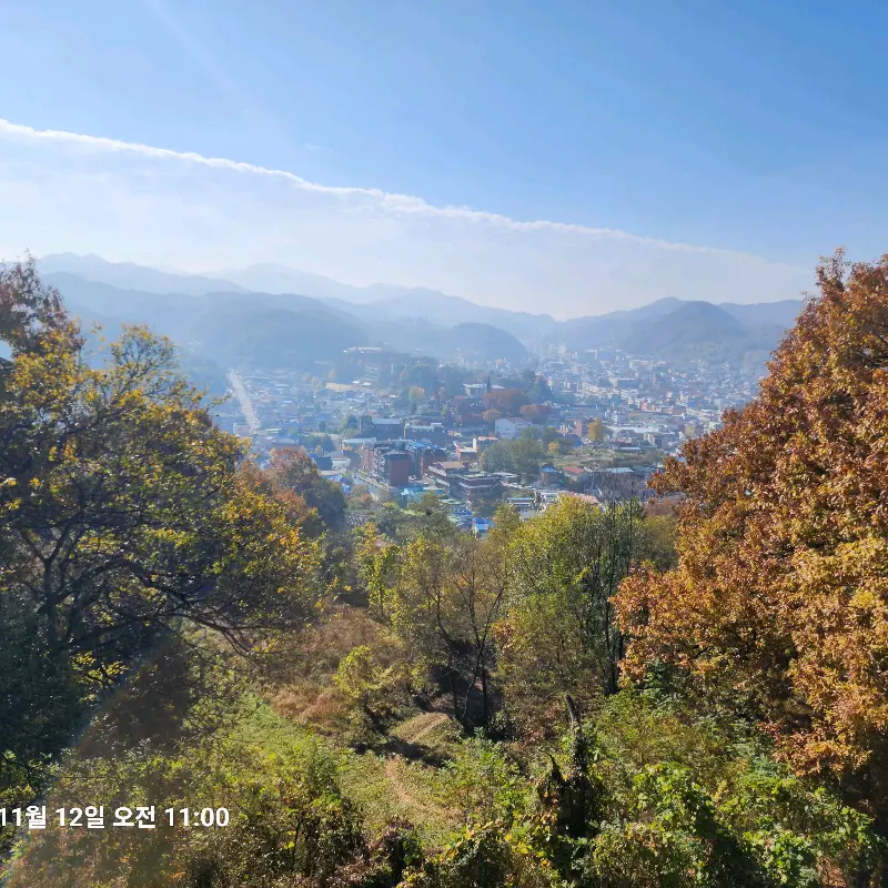 조치원의 아름다운 풍경