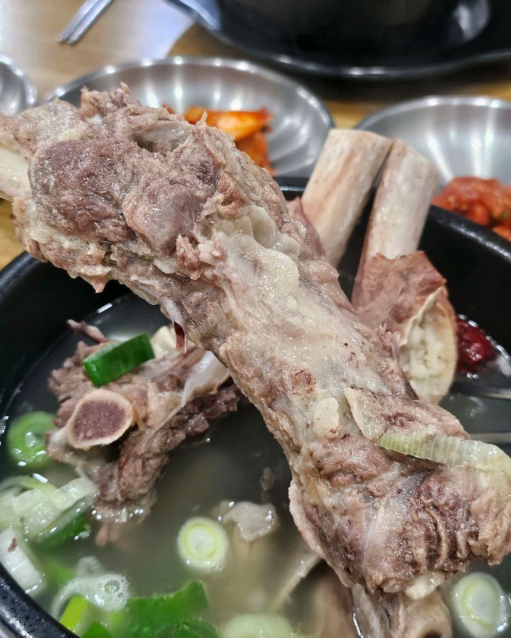 커다란 갈빗대가 들어있는 갈비탕 클로즈업 사진