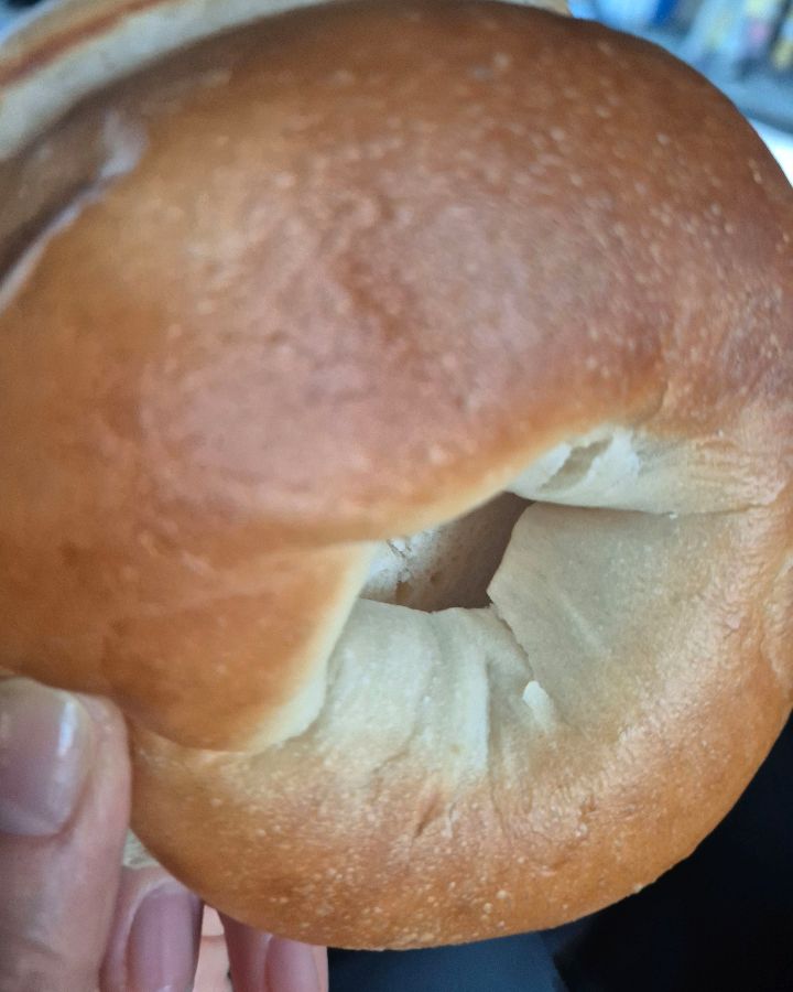 블루베리 베이글