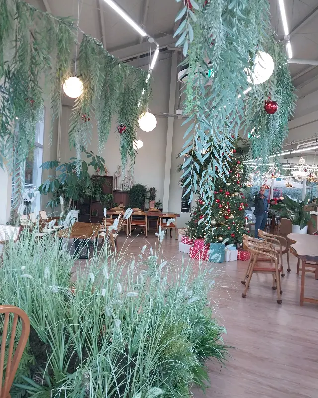 카페 내부의 식물 장식