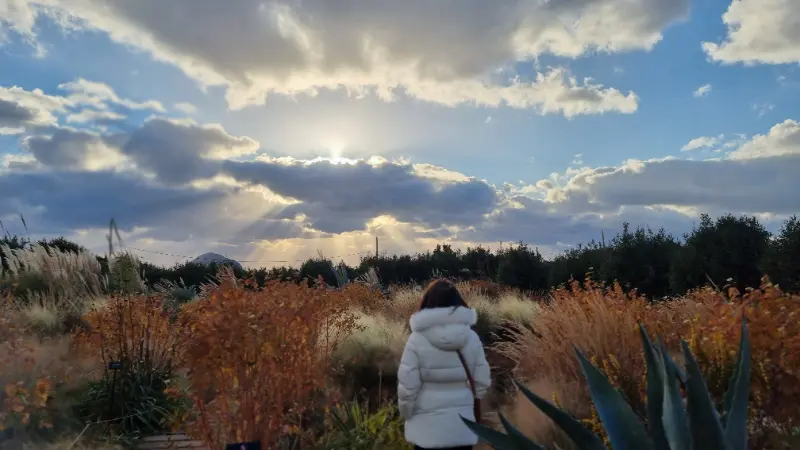 해변으로 이어지는 길