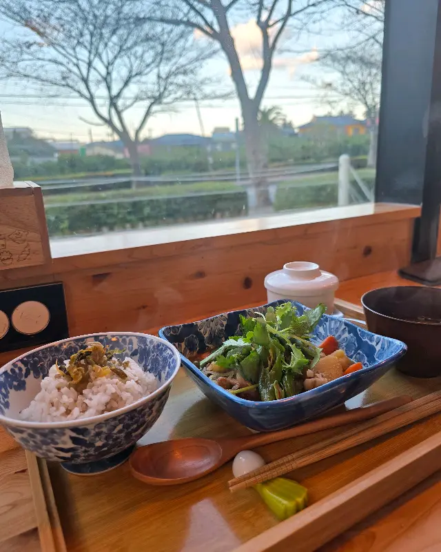 창밖으로 보이는 귤밭 풍경