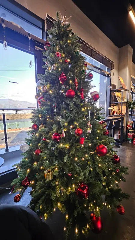 크리스마스 트리