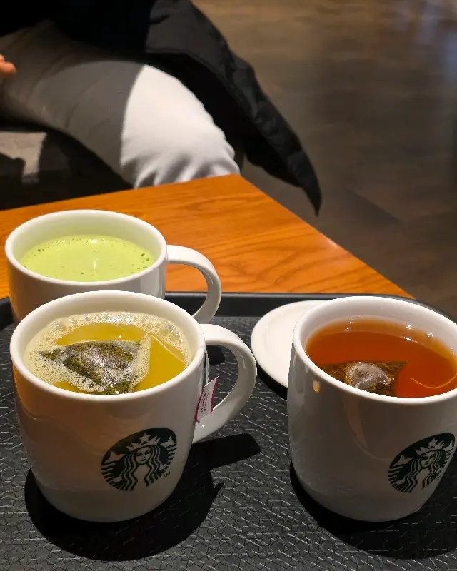 다양한 종류의 티