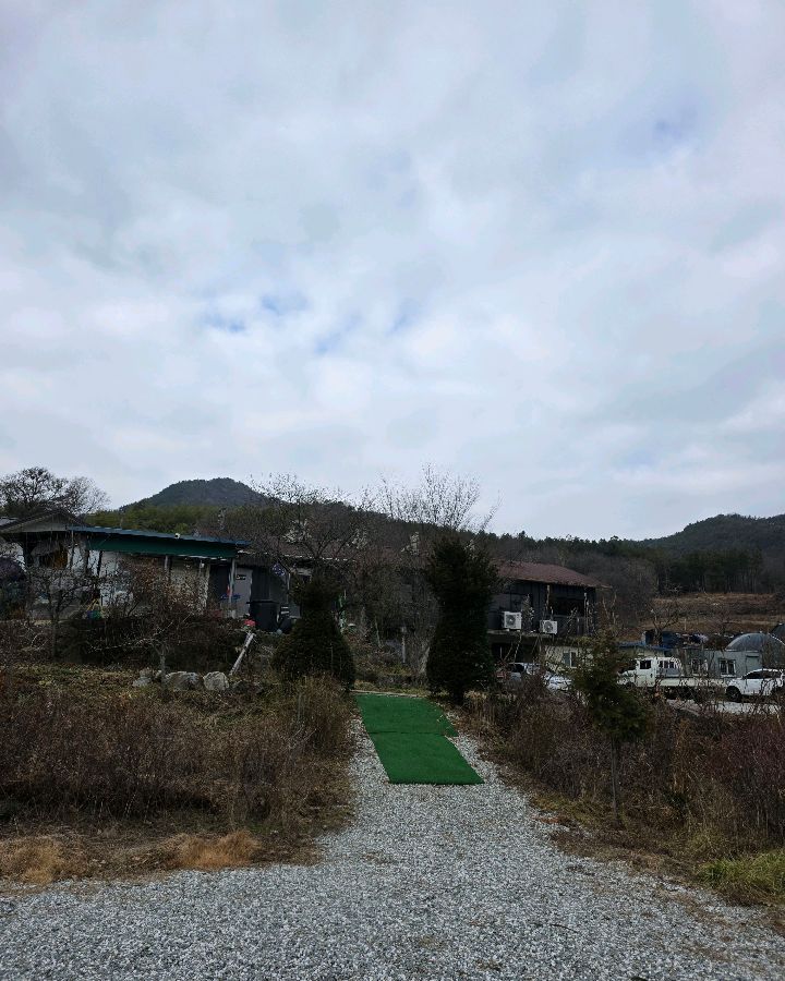 금강참붕어 주변 풍경