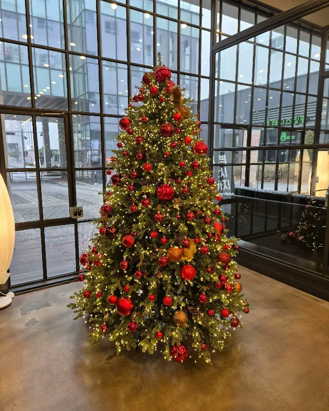 에이바우트커피 내부 크리스마스 트리