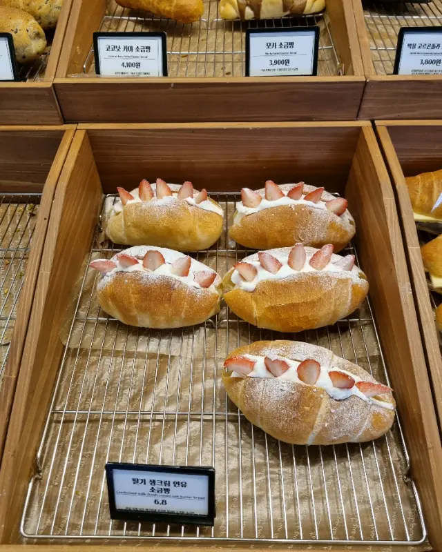 다양한 빵 종류