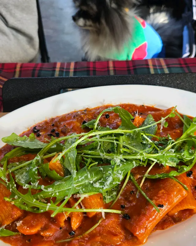 강아지와 함께 즐기는 맛있는 식사