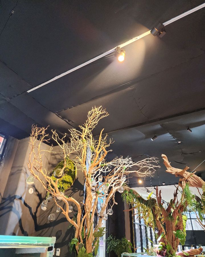 카페 내부 인테리어