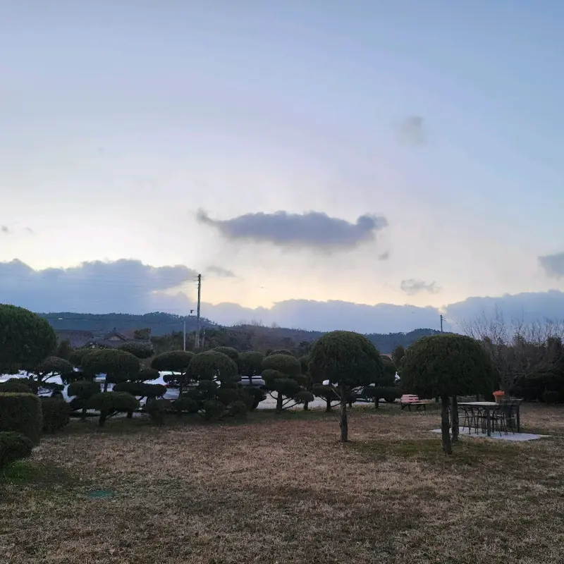 카페 외부 정원