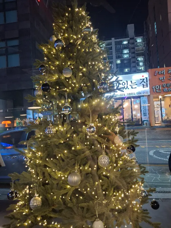 크리스마스 트리