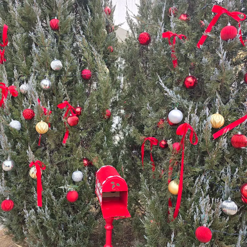 크리스마스 트리