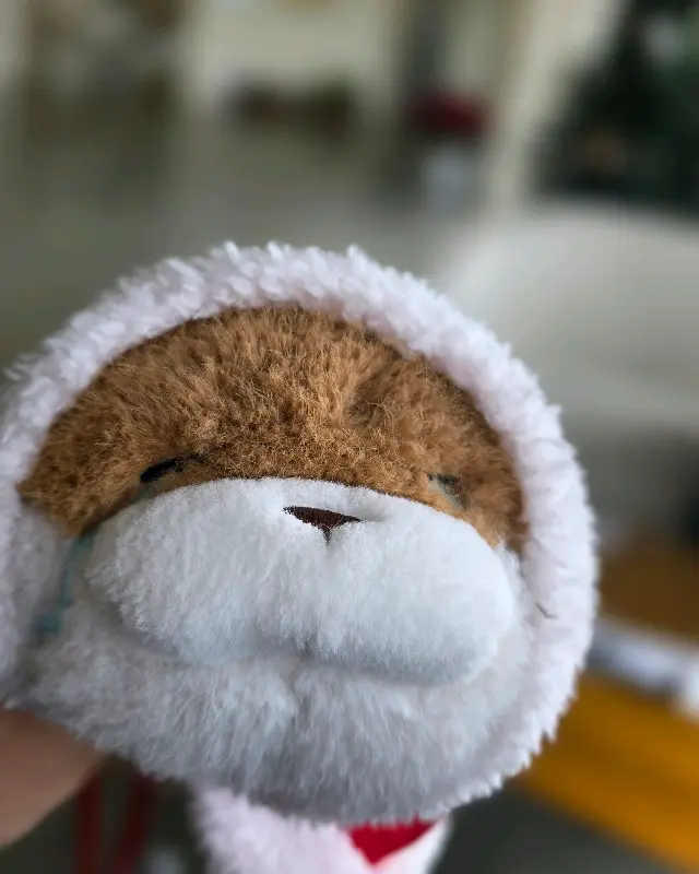 크리스마스 분위기로 꾸며진 카페 내부