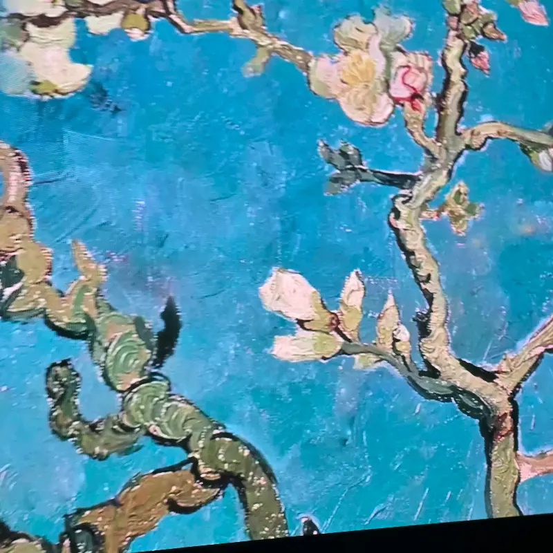 심퍼티쿠시 내부 인테리어