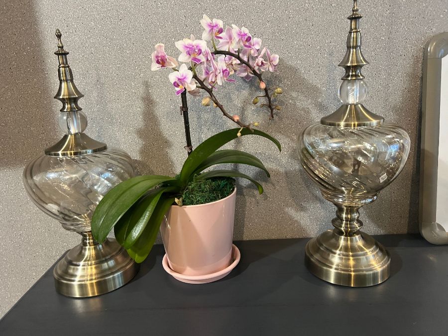 따딩홍콩덕 실내 인테리어