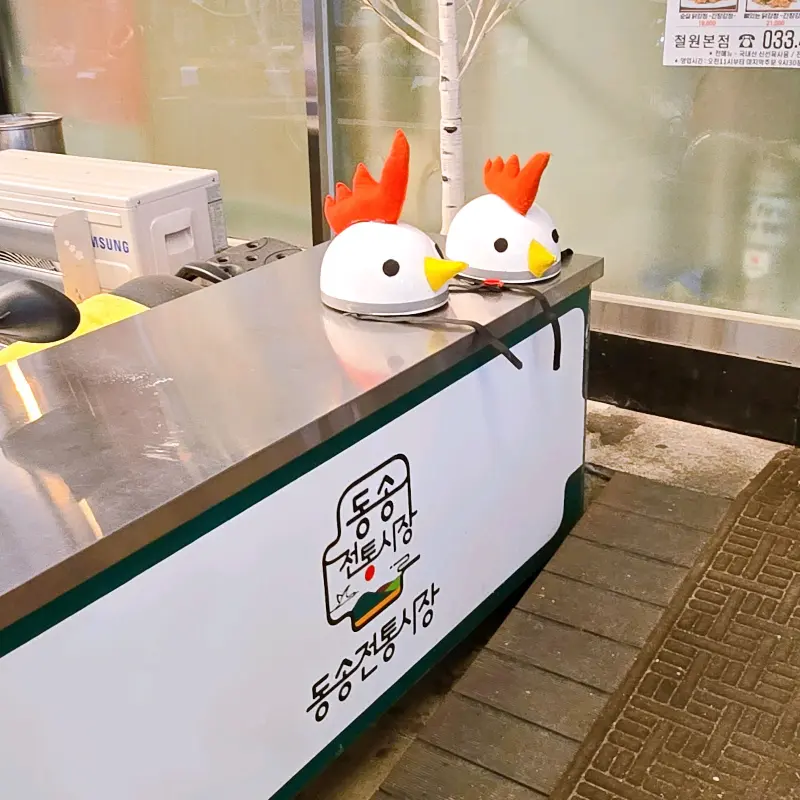 귀여운 닭 모자를 쓴 모습