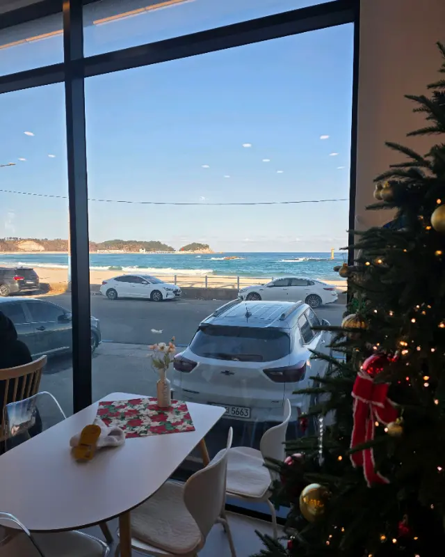 통창으로 보이는 바다와 크리스마스 트리