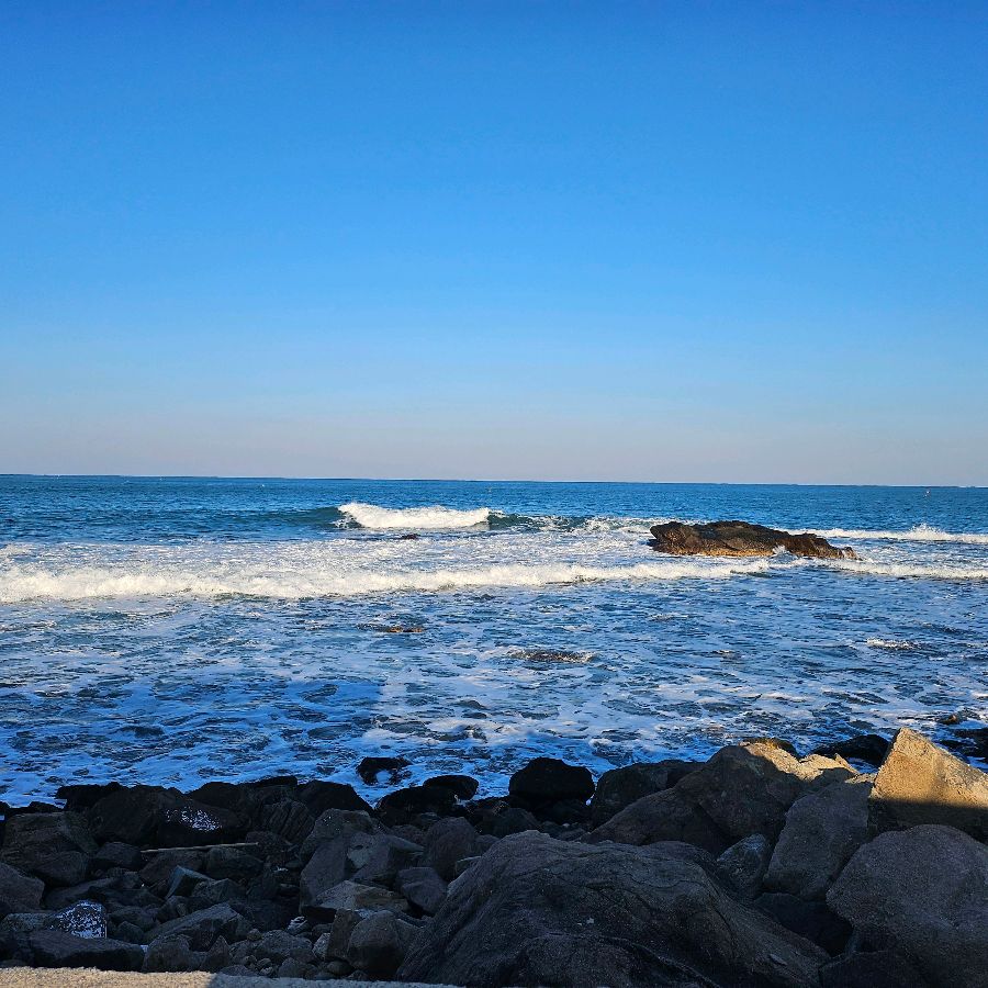 탁 트인 동해 바다 풍경