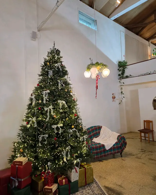 크리스마스 트리