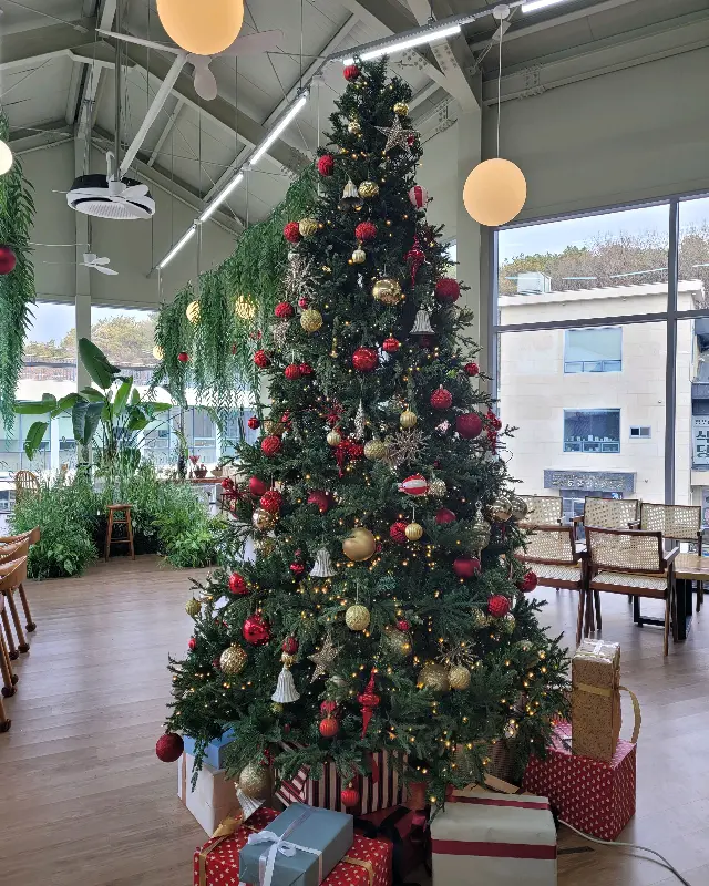 카페 내부의 모습