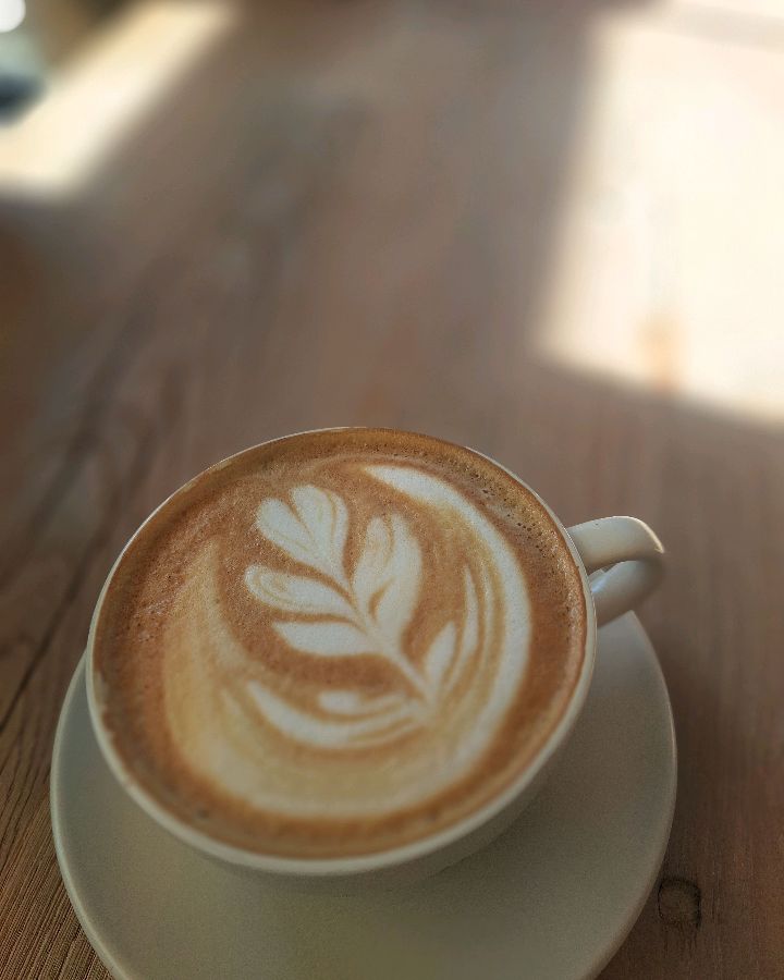 예코타 라떼 아트