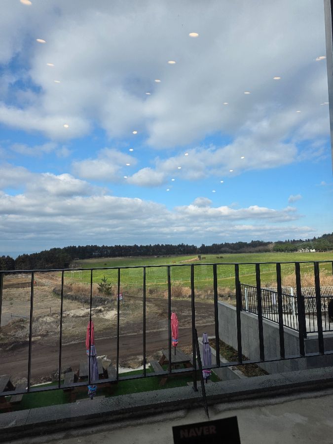 신선함이 느껴지는 모듬회