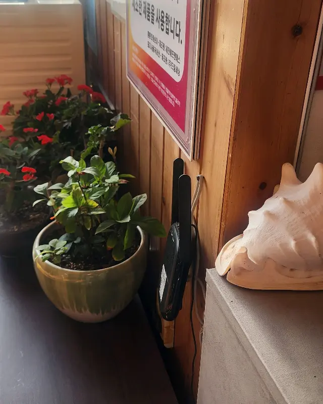 가게 한켠에 놓여진 화분들