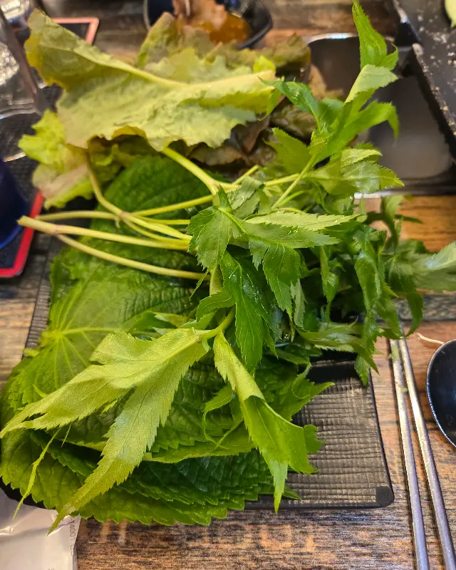 싱싱한 쌈 채소