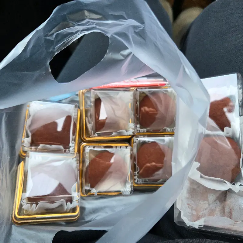 포장해 온 디저트