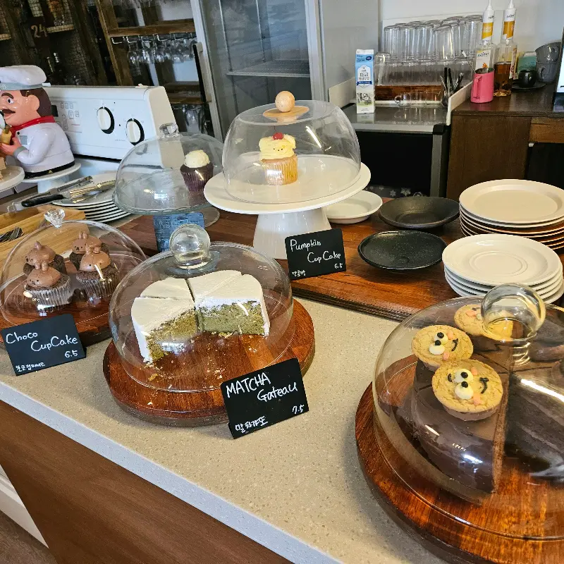 다양한 종류의 디저트 쇼케이스