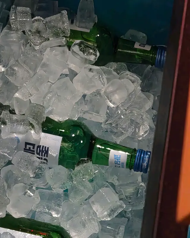 살얼음 동동 소주 냉장고