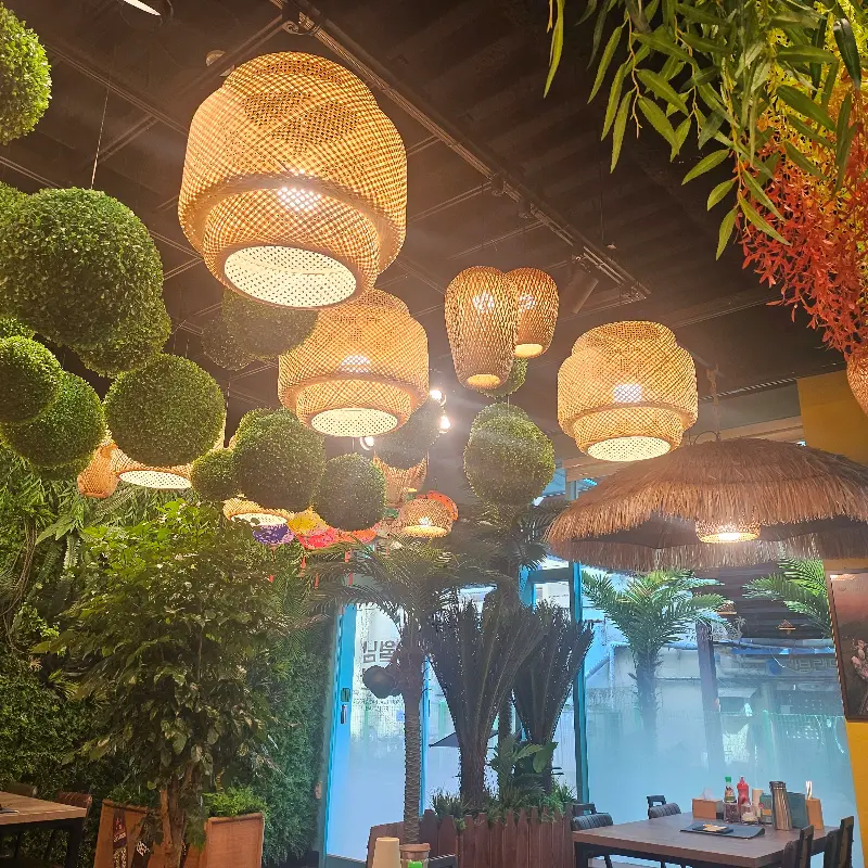 매장 천장에 장식된 라탄 조명과 식물들