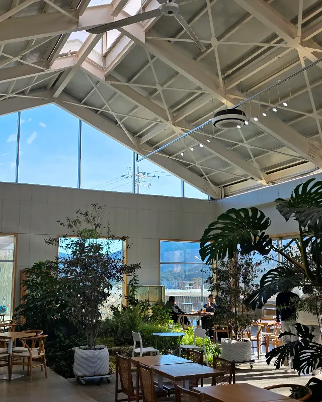 높은 층고와 푸릇푸릇한 식물들이 조화로운 카페 내부