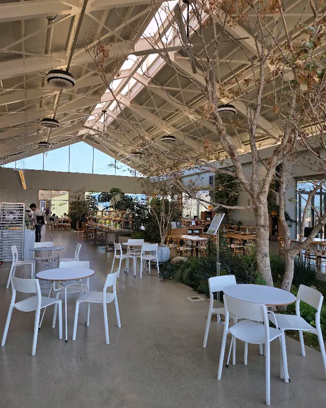 카페 내부의 테이블과 의자, 그리고 식물들